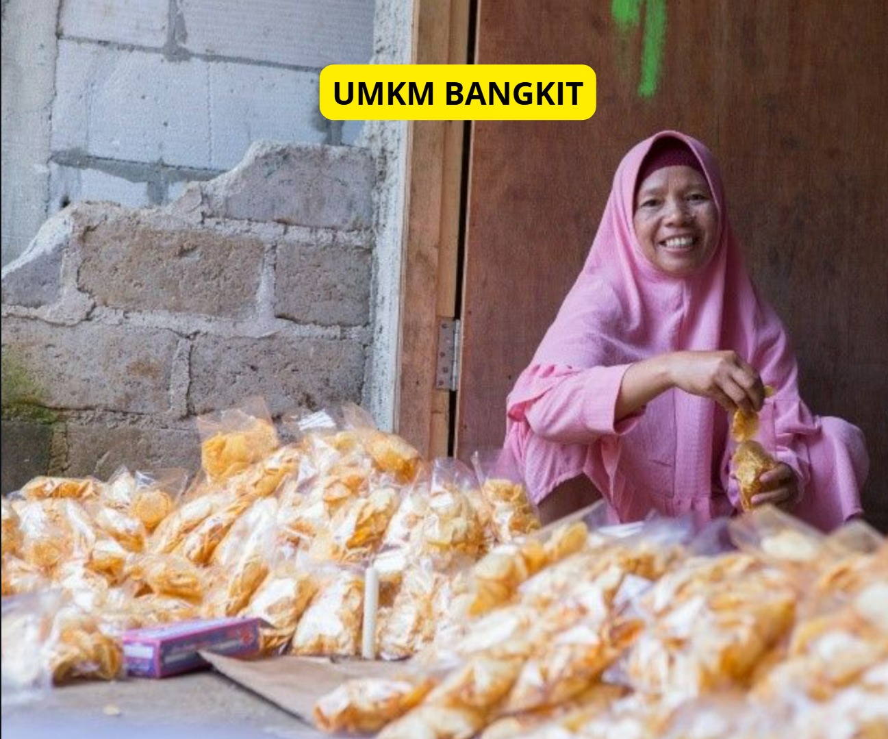 Bantuan Modal Usaha UMKM